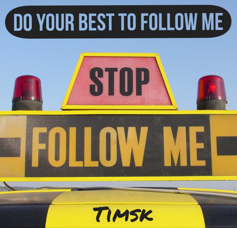Artwork for Timsk - Do Your Best to Follow Me