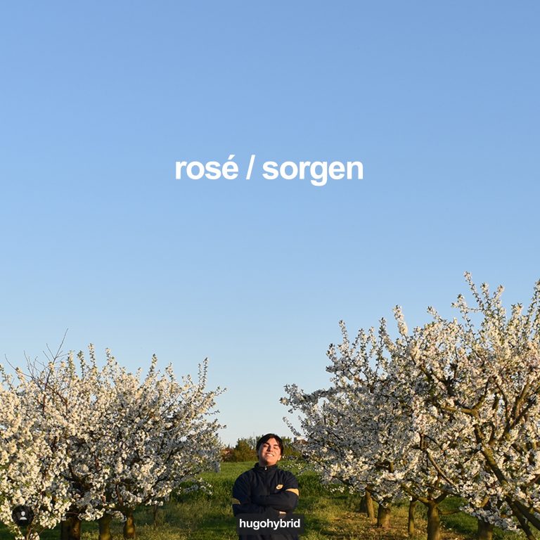 Background for Hugo Hybrid - Rosé / Sorgen
