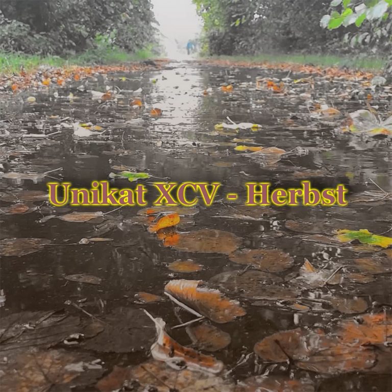 Background for Unikat XCV - Herbst