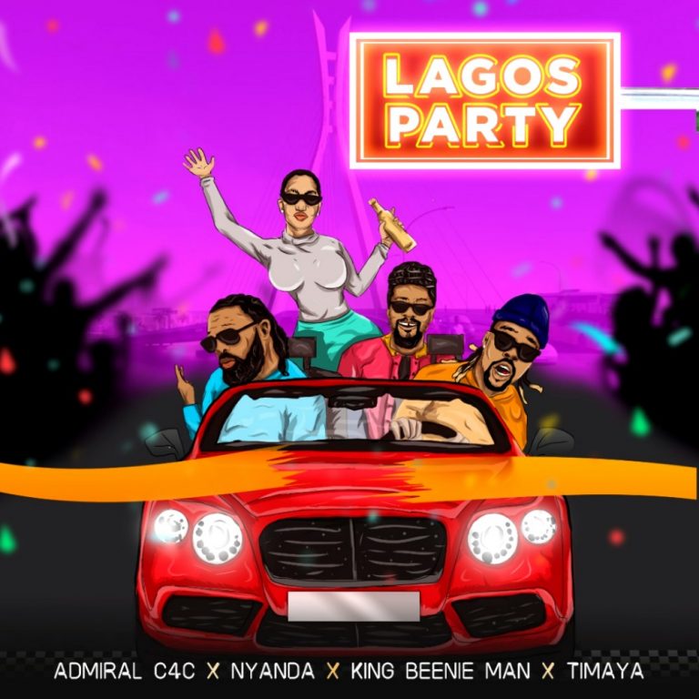 Background for Admiral C4C & Beenie Man & Nyanda & Timaya - Lagos Party