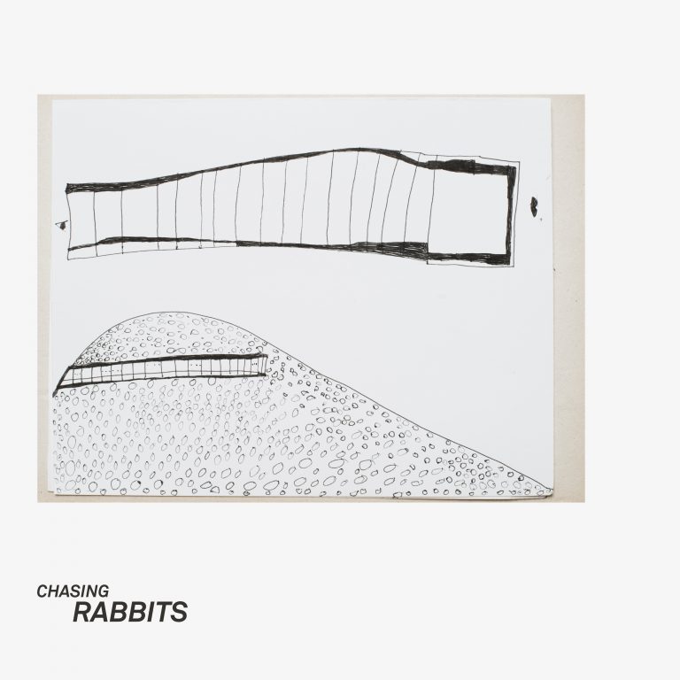 Artwork for Oilst & Ben Jarli - Chasing Rabbits (Molto Remix)